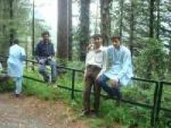 Pakistani dating website