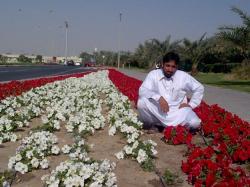 Pakistani dating website
