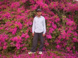 Pakistani dating website