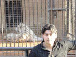 Pakistani dating website