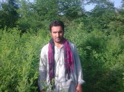 Pakistani dating website