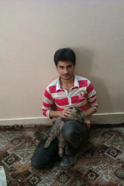 Pakistani dating website