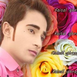 Pakistani dating website
