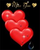 Rawalpindi Male pictures