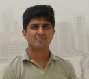 Sahiwal Male pictures