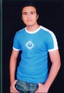 Sahiwal Male pictures