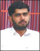 Sahiwal Male pictures