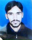 Sahiwal Male pictures