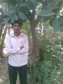 Gujranwala Male pictures