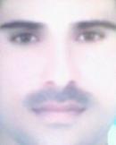 Sahiwal Male pictures