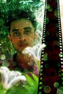 Sahiwal Male pictures