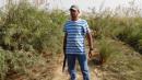 Sukkur Male pictures