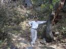 Mansehra dating website