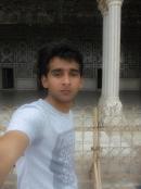 Sahiwal Male pictures