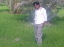 Sukkur dating website