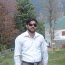 Sahiwal Male pictures