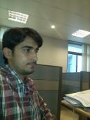 Sahiwal Male pictures