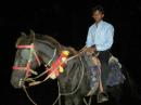 Thatta Male pictures