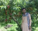 Multan Male pictures