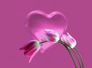 pakistan dating girl phone number