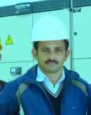 Sahiwal Male pictures