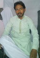 Sahiwal Male pictures
