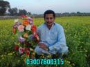 Bahawalpur dating website