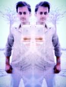 Sahiwal Male pictures