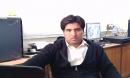 Sahiwal Male pictures