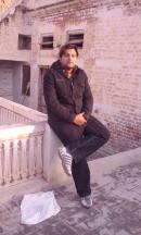 Sahiwal Male pictures
