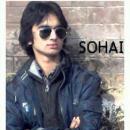 Sahiwal Male pictures