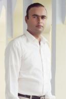 Sahiwal Male pictures