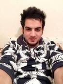 Sahiwal Male pictures